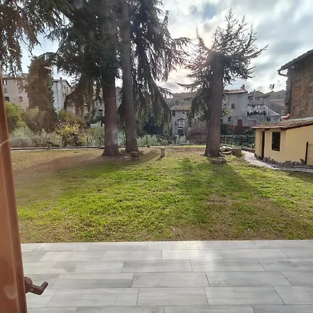 The Garden